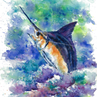 Barb Capeletti Watercolors Thumbnail